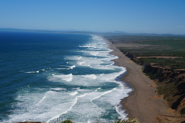 Point Reyes National Seashore coastline — human potential and AI blog by Tonya Pettis