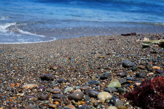 Sunlit pebbles and sea foam on a rocky shoreline — Proof We're Already Shifting blog by Tonya Pettis